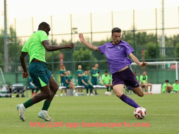 半岛体育app-2025年世俱杯球队犯规次数分析及球队纪律趋势研究